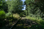 image001.jpg
