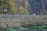image001-small.jpg