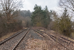 image011.jpg