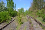 image005-small.jpg