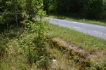 image002.jpg