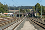 image011.jpg