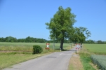 image001.jpg