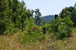 image003-small.jpg