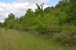 image003.jpg