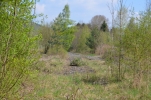 image008.jpg