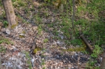 image012.jpg