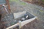 image010-small.jpg