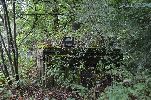image003-small.jpg