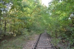 image001.jpg