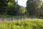 image006.jpg