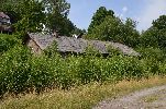 image003-small.jpg