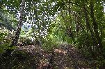 image005-small.jpg