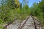image004-small.jpg