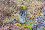 image005-small.jpg