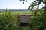 image200-small.jpg