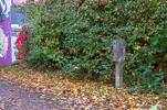 image013.jpg