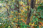 image026.jpg