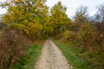 image050.jpg