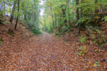 image051.jpg