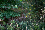 image013.jpg