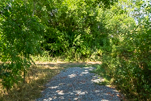 image014.jpg