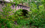 image021.jpg