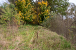 image037.jpg