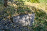 image045.jpg