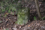 image021.jpg