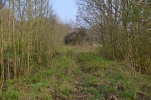 image004.jpg