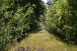 image010.jpg