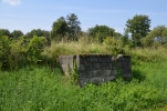 image019.jpg