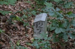image035.jpg