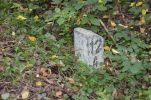 image036.jpg