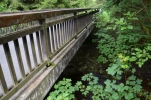 image050.jpg