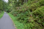 image051.jpg