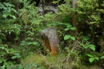 image052.jpg