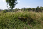 image054.jpg