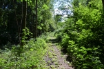 image013.jpg