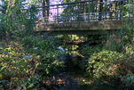 image021.jpg
