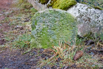 image025.jpg