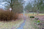 image037.jpg