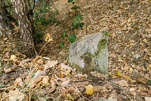 image014.jpg