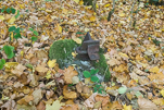 image025.jpg