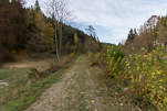image050.jpg