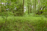 image018.jpg