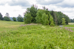 image037.jpg
