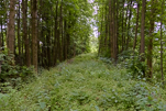 image041.jpg