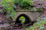 image043.jpg